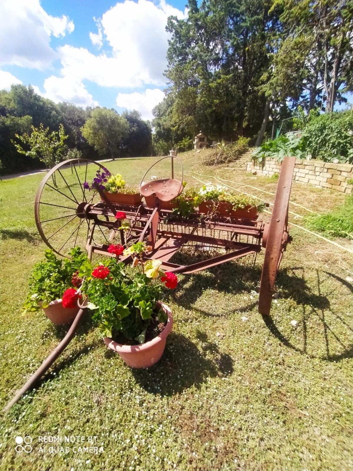 Agriturismo L'Alba Roccastrada Bagian luar foto